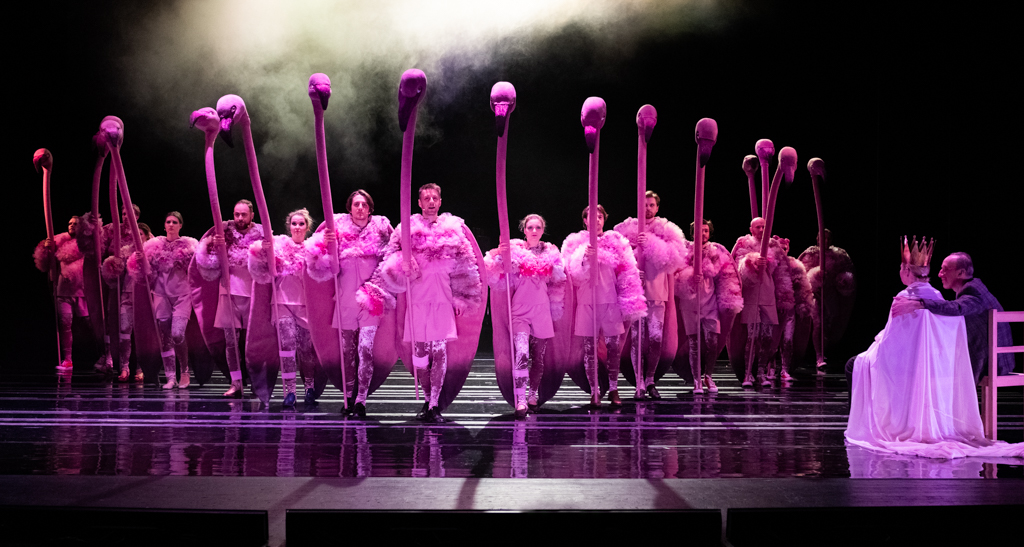 Aktorzy, ubrani na różowo, trzymają w rękach głowy różowych flamingów na długich szyjach. Na górze unosi się dym. Na podłogę sceny pada światło w taki sposób, że przypomina ona taflę wody. Z boku siedzi kobieta w koronie na głowie. Towarzyszy jej mężczyzna, siedzący na krześle, który wskazuje jej na flamingi i opowiada o nich.