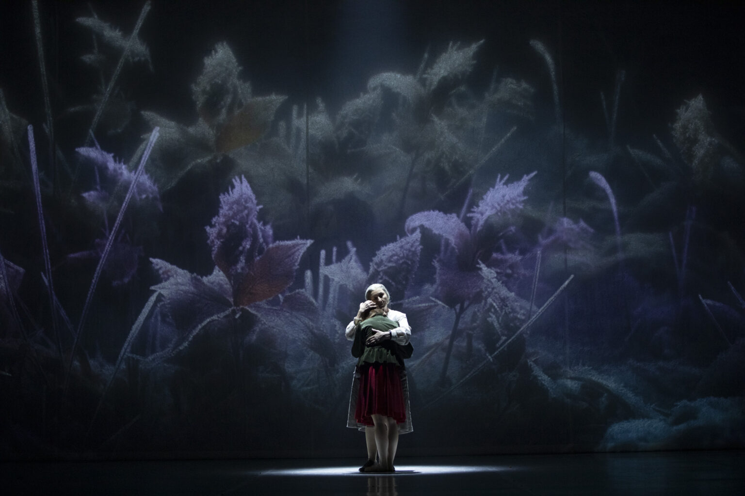 Tancerki baletowe na scenie