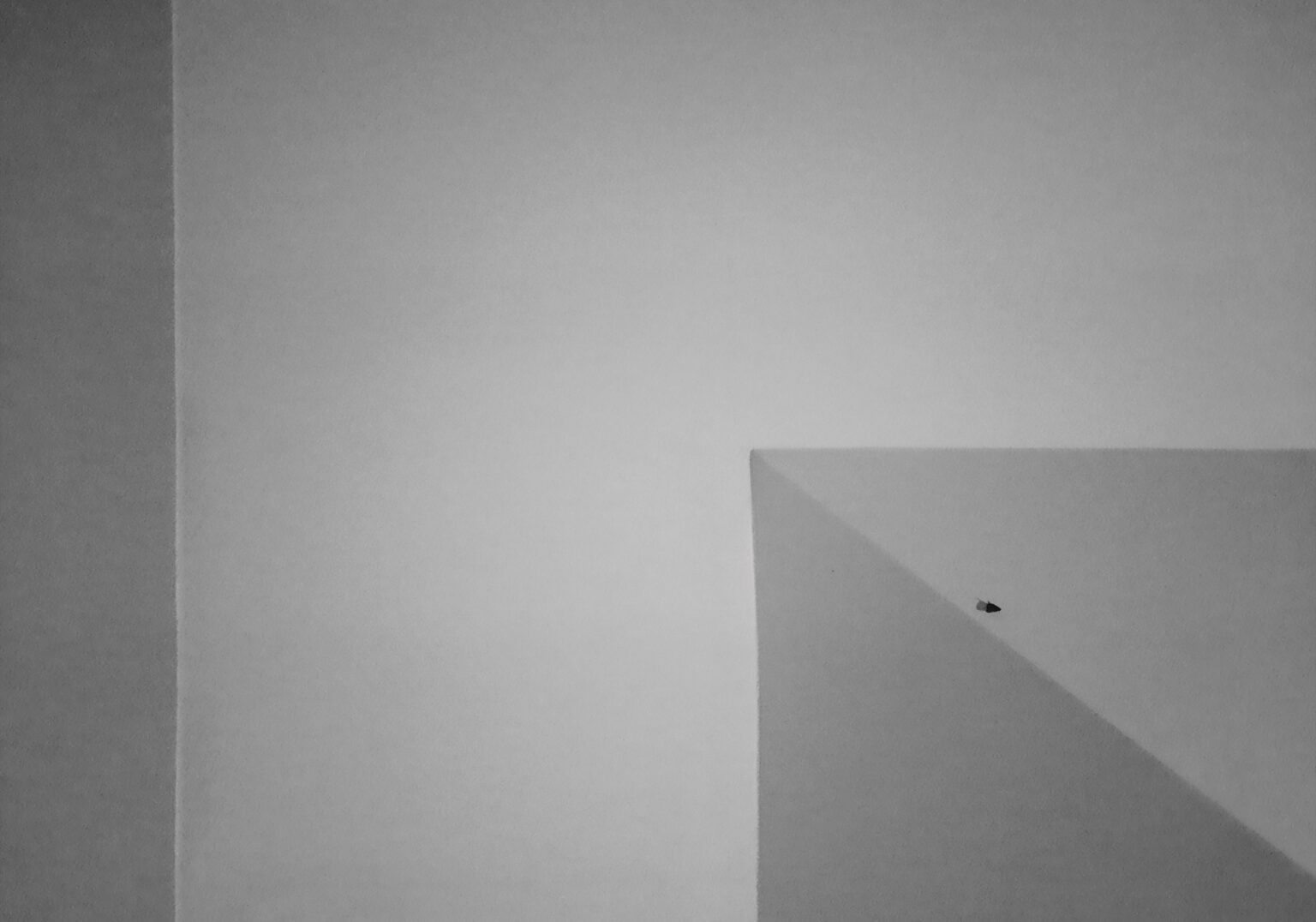 czarno-biała praca z Pracowni Fotografii z Wydziału Scenografii ASP