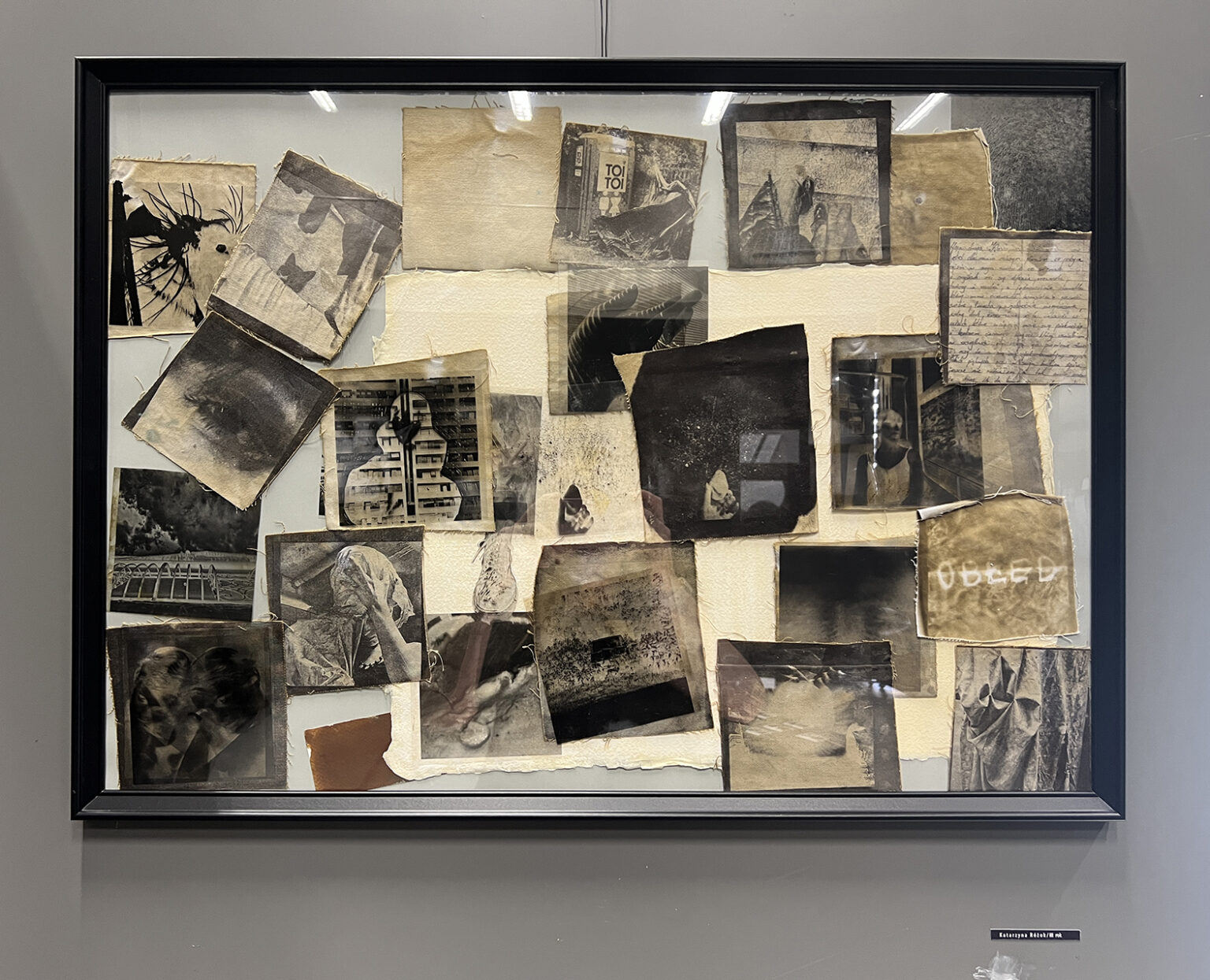 Akademia Otwarta 2025