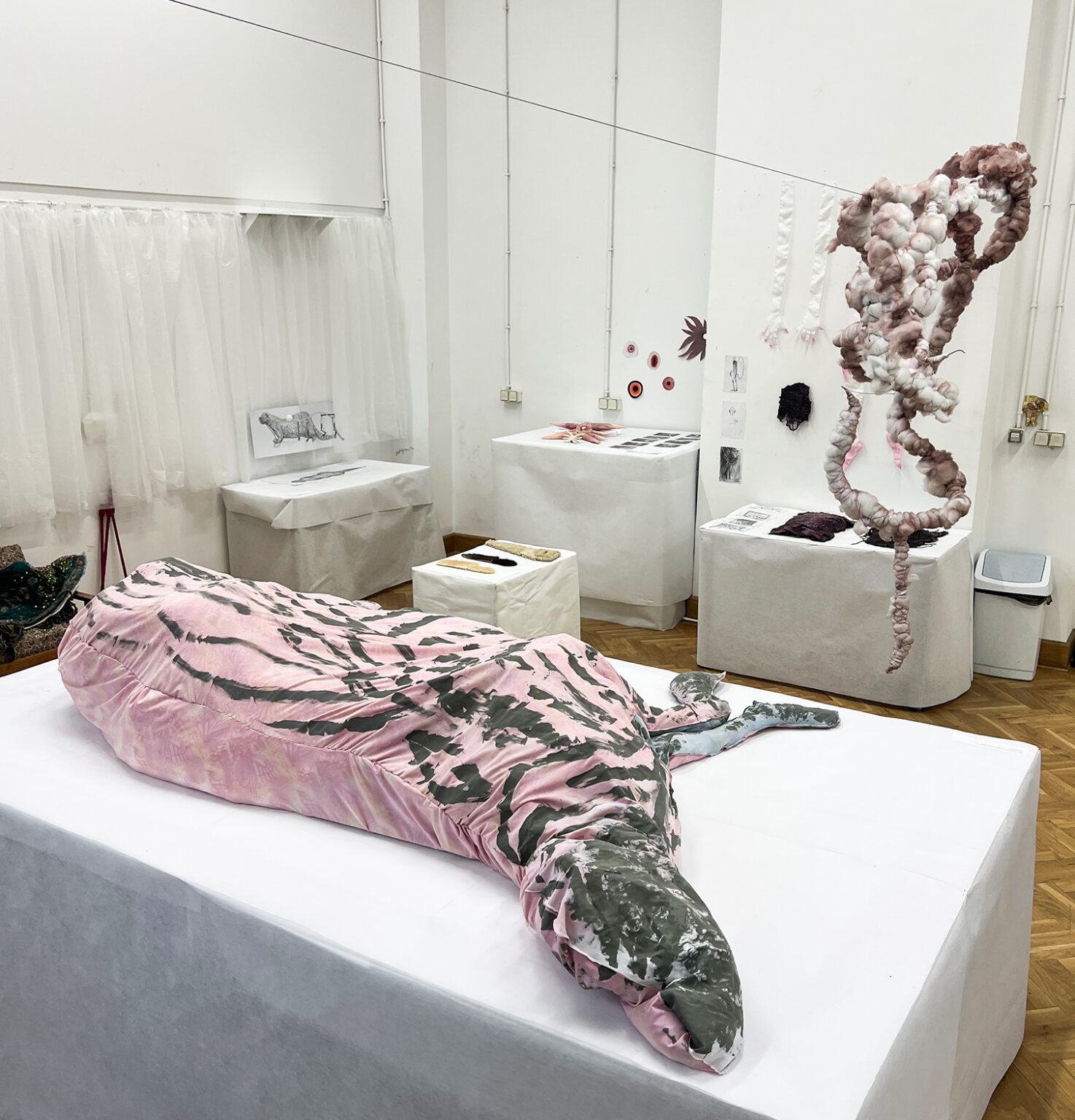 Akademia Otwarta 2025