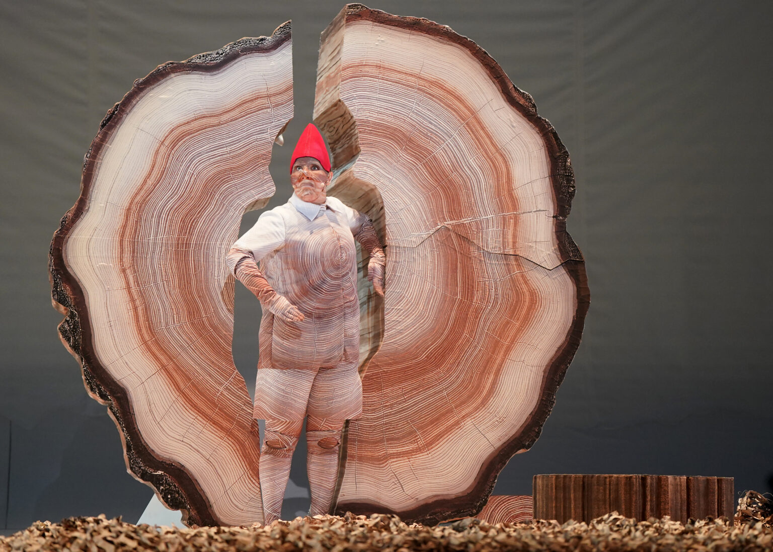 Zdjęcie PRZYGODY PINOKIA