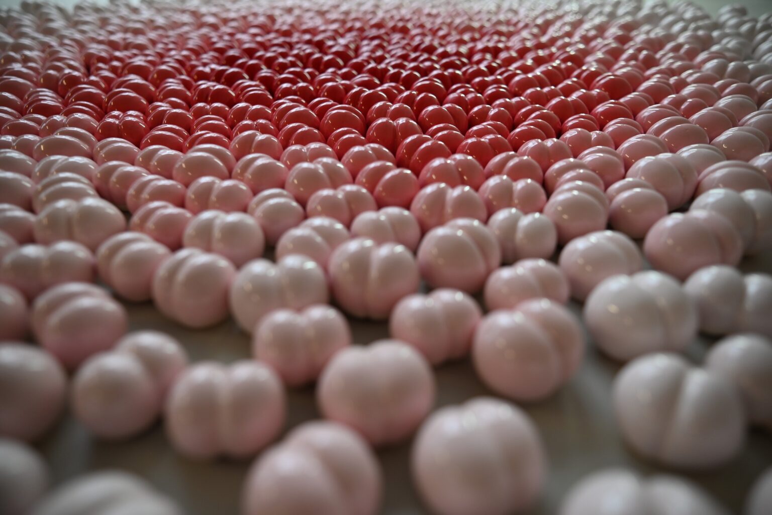 zdjęcie ekspozycji prac rzeźbiarskich